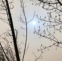 Bão bụi Trung Quốc biến Mặt trời thành màu xanh