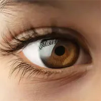 Con người có mắt trội không?