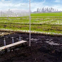 Giải pháp sản xuất lương thực trung hòa carbon