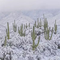 Sa mạc nóng nhất Bắc Mỹ có tuyết rơi dày tới 10cm, điều gì đang xảy ra?