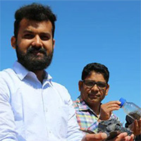 Tìm ra phương pháp chiết xuất silicon từ pin mặt trời đã qua sử dụng