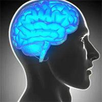 Phát hiện mới: Não đào thải độc tố khi ta thức, chứ không phải lúc ngủ