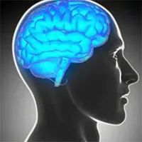 Phát hiện mới: Não đào thải độc tố khi ta thức, chứ không phải lúc ngủ