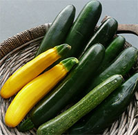 Lợi ích tuyệt vời của bí ngòi đối với sức khỏe