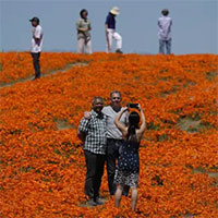 Bão mạnh càn quét và tạo nên cảnh tượng 