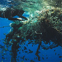 Phát hiện bất ngờ về đảo rác Thái Bình Dương