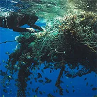 Phát hiện bất ngờ về đảo rác Thái Bình Dương
