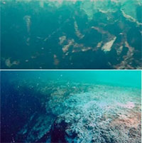 Phát hiện hố xanh sâu thứ hai trên thế giới