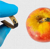 Cảm biến phát hiện nhanh dư lượng thuốc trừ sâu trong thực phẩm