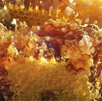 Mật ong điên khiến đội quân La Mã bị tiêu diệt