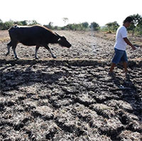 Thế giới sắp trải qua đợt nắng nóng kỷ lục, kèm theo những cơn bão