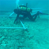 Phát hiện con đường 7.000 năm dưới đáy biển Adriatic