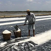 Công nghệ biến muối thô thành muối tinh