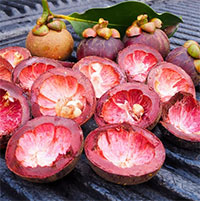 Không chỉ quả, vỏ măng cụt cũng đem lại nhiều lợi ích đối với sức khỏe