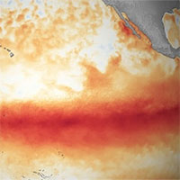 Nhiệt độ toàn cầu sẽ đạt kỷ lục mới trong 5 năm tới