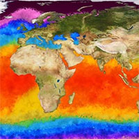 Năm nay chắc chắn sẽ xảy ra hiện tượng El Nino, có thể có các cơn bão nhiệt đới khủng khiếp