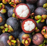 Những đại kỵ khi ăn măng cụt bạn nhất định phải biết