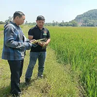 Kỹ sư "hô biến" hạt giống nảy mầm siêu tốc