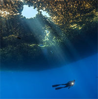 Vì sao biển Sargasso được các nhà khoa học gọi là 