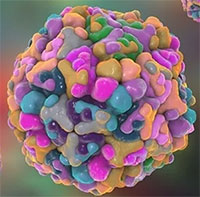 Virus gây bệnh tay chân miệng nặng tái xuất