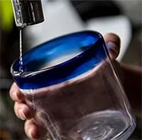 Lần đầu tiên chưng cất nước uống từ tiết lợn thành công