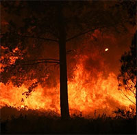 Viễn cảnh xám xịt của Trái đất vào năm 2100