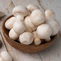 Loại nấm bé nhỏ nhưng lại là 