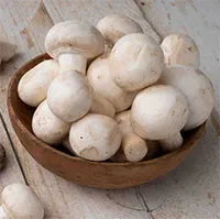 Loại nấm bé nhỏ nhưng lại là "thuốc" hạ mỡ máu, kiểm soát đường huyết tự nhiên