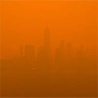 Bức ảnh từ New York khiến cả thế giới sửng sốt và 