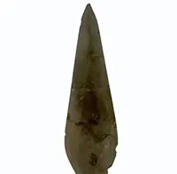 Cậu học sinh nhặt được chiếc lá, chuyên gia khảo cổ tuyên bố “đây là bảo vật vô giá”