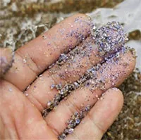 Vi nhựa tích tụ ở đâu trong cơ thể người?