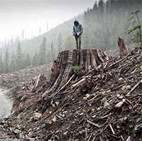 Các nhà vật lý cảnh báo: Trái đất có thể rơi vào hỗn loạn!