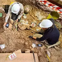 Lộ diện loài người cổ "ăn thịt người", từng sống cùng tổ tiên chúng ta