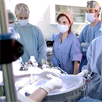 Tử cung nhân tạo nuôi sống bào thai động vật 12 ngày