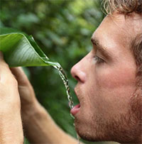 Tại sao động vật có khả năng nhịn đói tốt hơn nhiều so với con người?