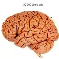 Não người bị thu nhỏ do biến đổi khí hậu?