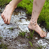 Những biện pháp giúp ngăn ngừa nhiễm giun sán ký sinh