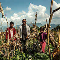 Sẽ có mất mùa hàng loạt, chúng ta không được xem thường