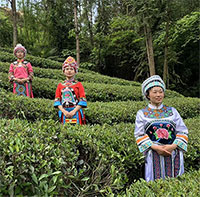 Phong tục kỳ lạ: Cô dâu khóc 1 tiếng/ngày cả tháng trước đám cưới ở Trung Quốc