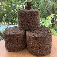 Sinh viên chế tạo viên nén từ bã cà phê làm chất đốt