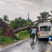 Vì sao Nam Bộ giông lốc dù xa bão Talim?