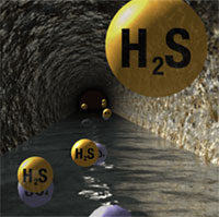 Ngạt khí trong không gian kín nguy hiểm thế nào?