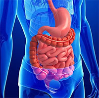 Chuyên gia dinh dưỡng chỉ cách 