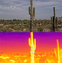 Camera chụp nhiệt bắt trọn sức nóng khủng khiếp khi sóng nhiệt tấn công nước Mỹ