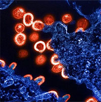 Các nhà khoa học phát hiện ra một tập hợp biến thể di truyền dường như có thể hạn chế lây nhiễm HIV