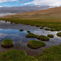 Trung Quốc đứng đầu thế giới về diện tích rừng nhân tạo