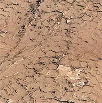 NASA tìm thấy "tổ ong" có thể là nơi sinh vật ngoài hành tinh ra đời
