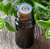 Loại dầu được mệnh danh là 