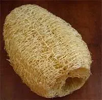 Tiến sĩ Việt chế tạo xốp xơ mướp hút dầu và vi nhựa