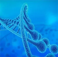 Bí ẩn về prion ẩn trên nhiễm sắc thể thứ 20 của con người